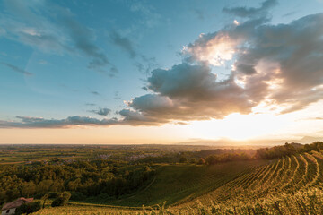 Obraz premium Colorful sunset in the vineyards of Savorgnano del Torre