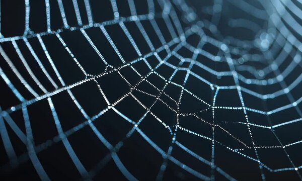 A close-up of a spider web with intricate patterns, highlighted by a blue hue.