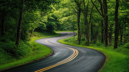 Fototapeta premium A picturesque winding road meandering through vibrant green forests ideal for showcasing the beauty and serenity of nature