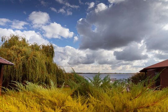 Rural Landscape with Yellow Bushes and Cloudy Sky by the Lake