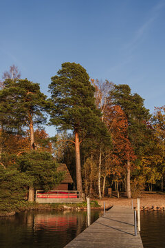 Lakeview with wooden pathway and trees at sunset