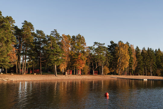 Sandy lakeside with trees against blue sky at sunset