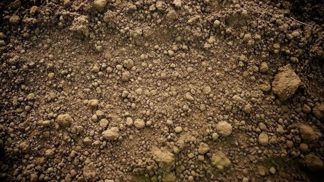 A close-up of brown soil with small rocks