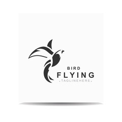 Flying Bird modern logo design isolated white background template illustration