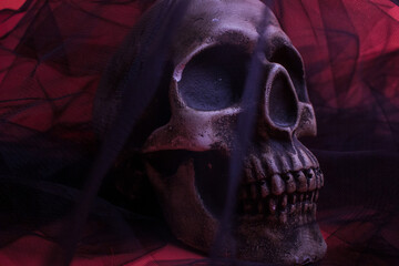  A human skull on a red background around which is black satin.