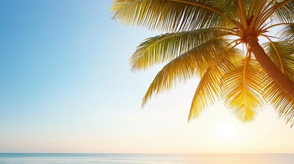 Palm tree is in the foreground of a beautiful blue ocean. The sky is clear and the sun is shining brightly