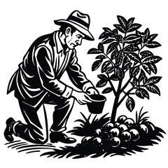 an old man planting coffee vector