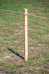 A wooden post is standing in a field of grass