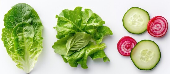Obraz premium Set Of Vegetables For Salad Cucumbers Radish And Leaf Of Lettuce