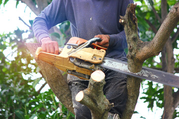 close up lumberman on tree while using chainsaw sawing wood in to pieces against blue sky white...