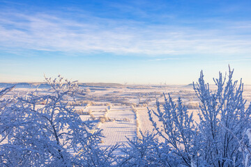 View at a wintry rural landscape with frosty tree branches
