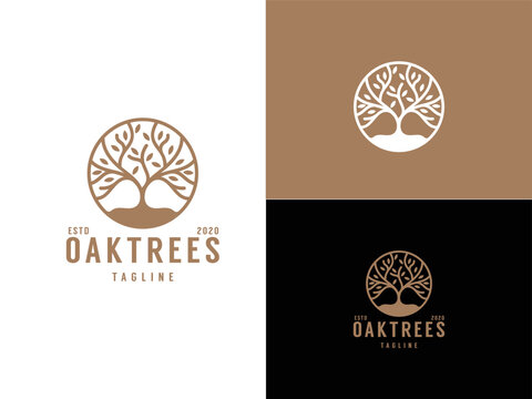 Classic Oak Maple Elm Chestnut Tree Root Silhouette. Residential landscape label stamp logo design