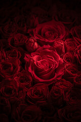 情熱的な赤い薔薇が一面に広がる美しい背景