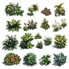 Tropical Plant Illustrations