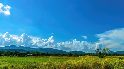 Obraz premium The allure of a landscape filled with the beauty of blue sky, fluffy white clouds, majestic high mountains, and vibrant green plants. Generative AI