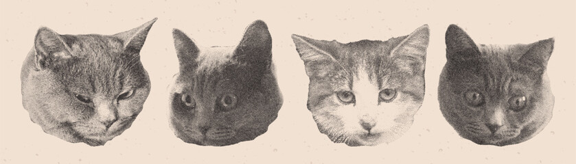 Set of photocopy funny cat heads. Halftone collage elements. © MandarinkaArt