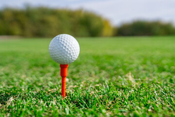 Golf Ball Positioned on a Tee, All Set for a Shot in a Beautiful Lush Green Field