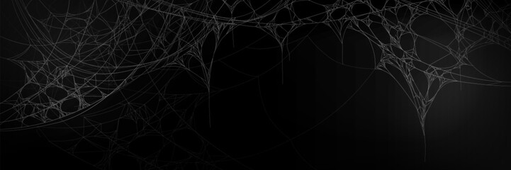 Delicate white spider web structure on dark backdrop. Tricky insect network with thin threads interconnecting at various points pattern. Realistic spooky border with natural cobweb stretches.