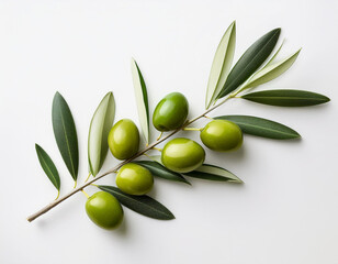 Peaceful Harmony Olive Branch and Green Leaves on White Background