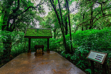 high angle nature background On the mountain overlooking the surrounding natural scenery, overlooking the sea, trees, rocks, trees, adventure tourism.