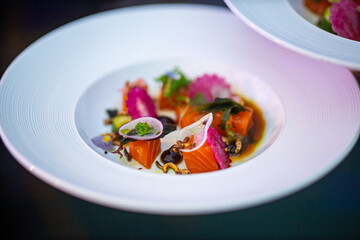Elegant Plated Salmon Sashimi with Vibrant Garnishes