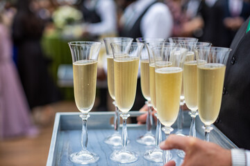Elegant Champagne Flutes on Tray at Outdoor Celebration