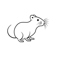 Outline Drawing of a Rat