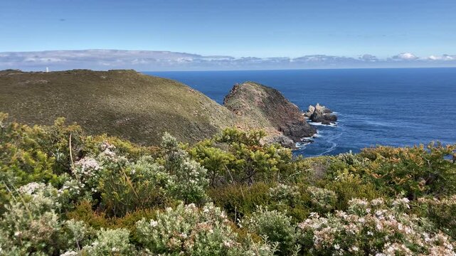 Stunning view of sunny rugged coast of Cape Bruny, Bruny Island Tasmania, Australia