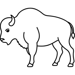 illustration of a bison