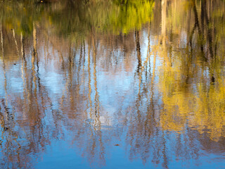 abstract reflections in autumn