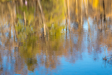 abstract reflections in water