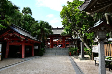 Naklejka premium 青島神社の参道