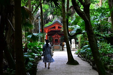 青島神社を参拝する女性の後ろ姿