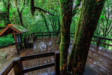 high angle nature background On the mountain overlooking the surrounding natural scenery, overlooking the sea, trees, rocks, trees, adventure tourism.