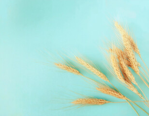Fototapeta premium Celebrating Shavuot A Bird's Eye View of Wheat Crops in Pasrel Blue