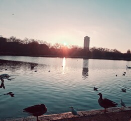 sunset on the lake