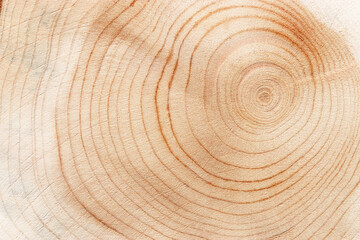 Wood pattern, detailed view of wooden surface with natural tree rings of juniper, grain and line...