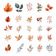 Obraz premium Autumn Leaves Watercolor Collection