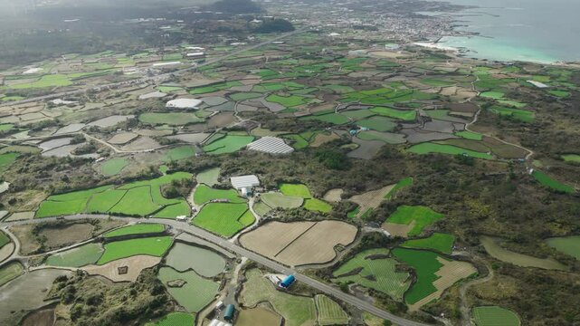 Aerial View of Natural Patterns in Jeju Island's Rice Fields