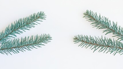 Obraz premium Spruce Branches From Winter Green Firs for Festive Holiday Decor Generative AI