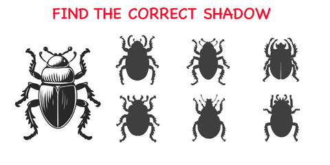 Find the correct shadow. Educational game for kids to choose suitable silhouette for beetle. Kids worksheet page with Attention task to match right figure. Activity task.