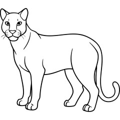 illustration of a cougar