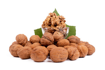 Collection of walnuts isolated on white or transparent background