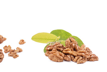 walnut and leaves