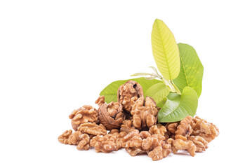 walnut and leaves