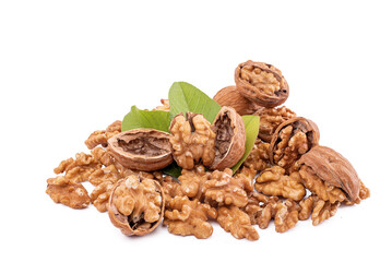 walnut and leaves