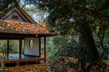 Garden Autumn Park Old Vintage Japanese Holland Netherlands The Hague