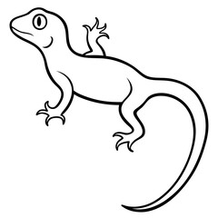 gecko on white