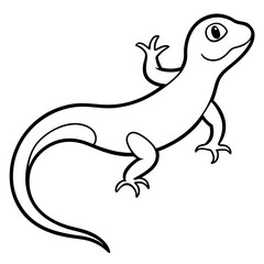 gecko on white