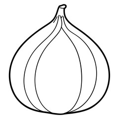 illustration of an fig